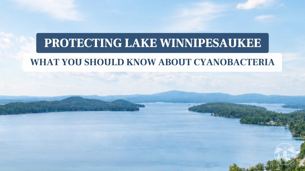 Lighthouse Contracting Group - Lake Winnipesaukee - What you should know about Cyanobacteria