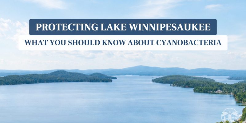 Lighthouse Contracting Group - Lake Winnipesaukee - What you should know about Cyanobacteria